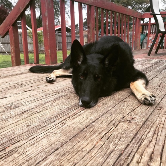 Meet your Posher, Kirsten - Picture 1 of 1